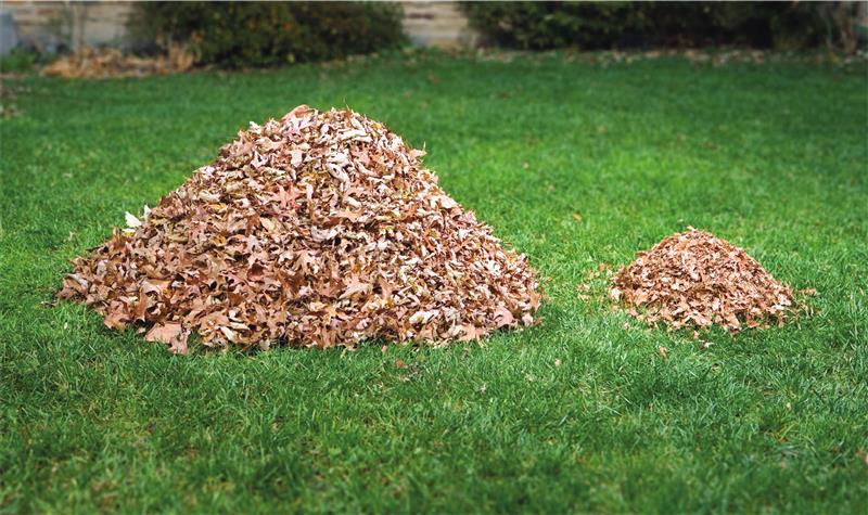 BLACK+DECKER Akku Laubsauger GWC3600L20 – Bild 5