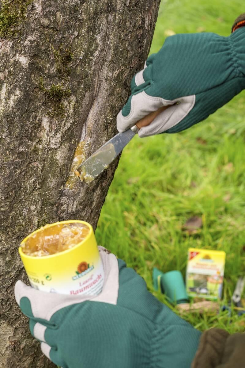 Neudorff Baumwachs "Lauril" - 250 g – Bild 2
