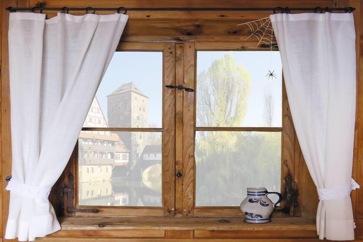 Gardigo Spinnen-Feind – Bild 4